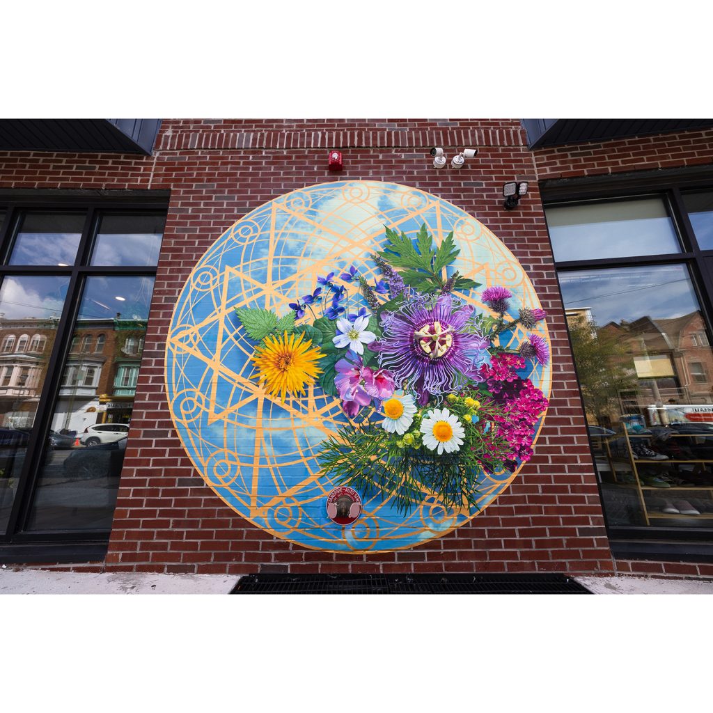 Wild Medicine: Mugwort, Mullein, & Mallow © 2022 City of Philadelphia Mural Arts Program / Kala Hagopian, 5050 Baltimore Avenue. Photo by Steve Weinik.