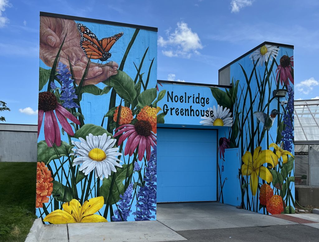 Noelridge Greenhouse Part 1, 2022, Golden Mural Acrylic Paint and Varnish on Concrete, 25’ x 18’, Cedar Rapids, IA. This mural was designed to enhance the outdoor space and invites more guests to step  inside the greenhouse. The design features larger than life flowers that make the view feel that they are a tiny bug among the massive garden. Noelridge Greenhouse, 4900 Council St NE, Cedar Rapids, IA 52402